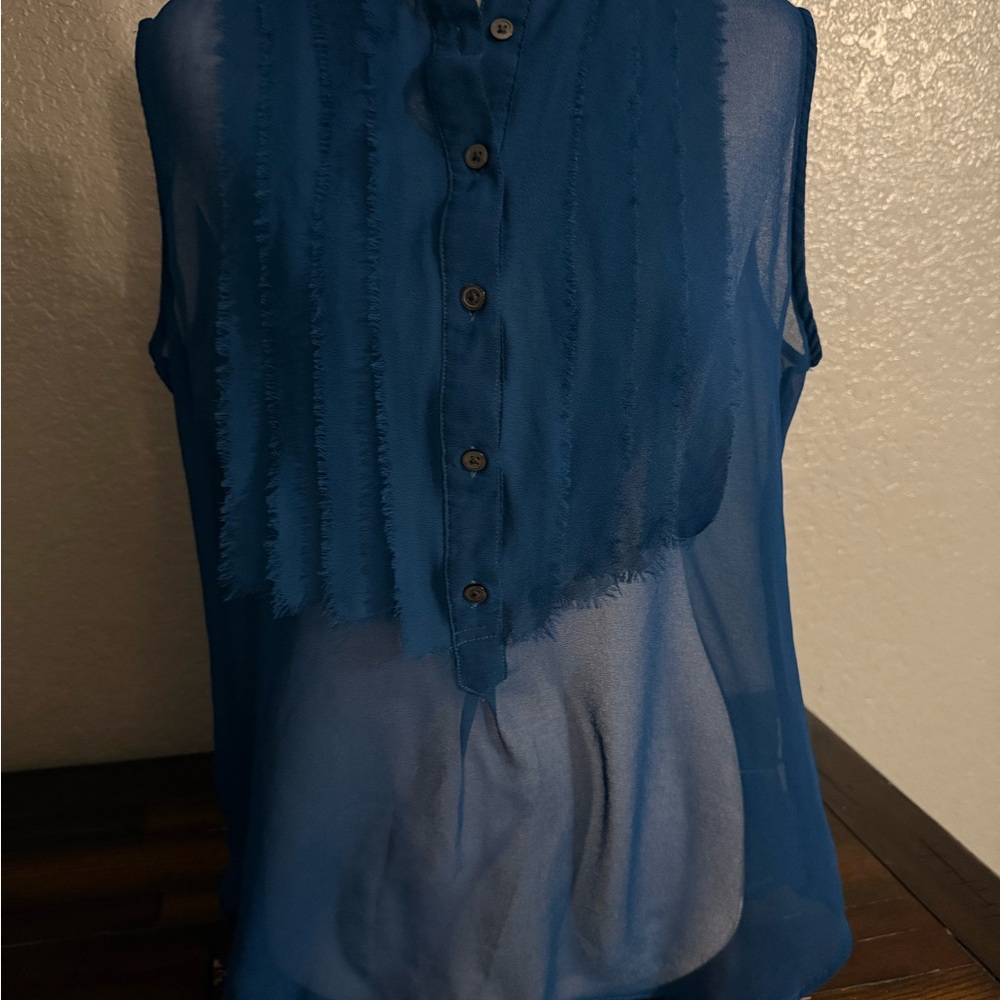 GAP Sheer Blue Button-Front Blouse